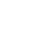 Security Fire